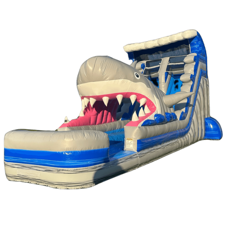 Shark Attack